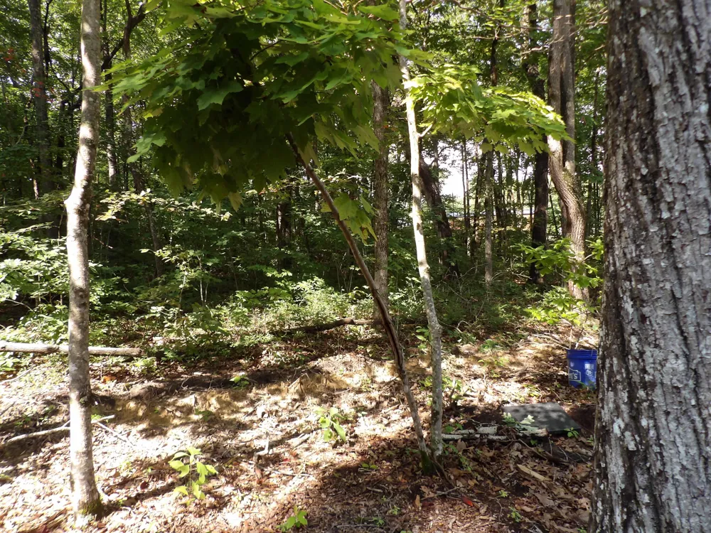 87 Apple Road Pikeville, TN 37367