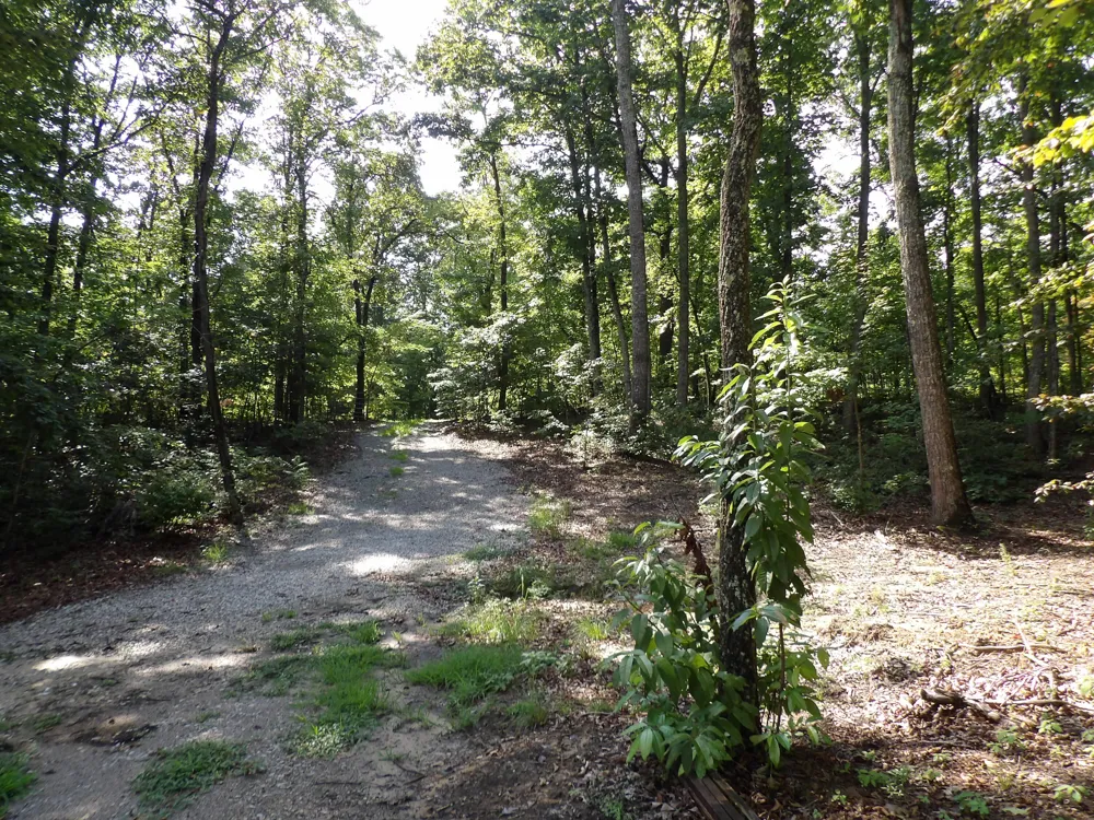 87 Apple Road Pikeville, TN 37367