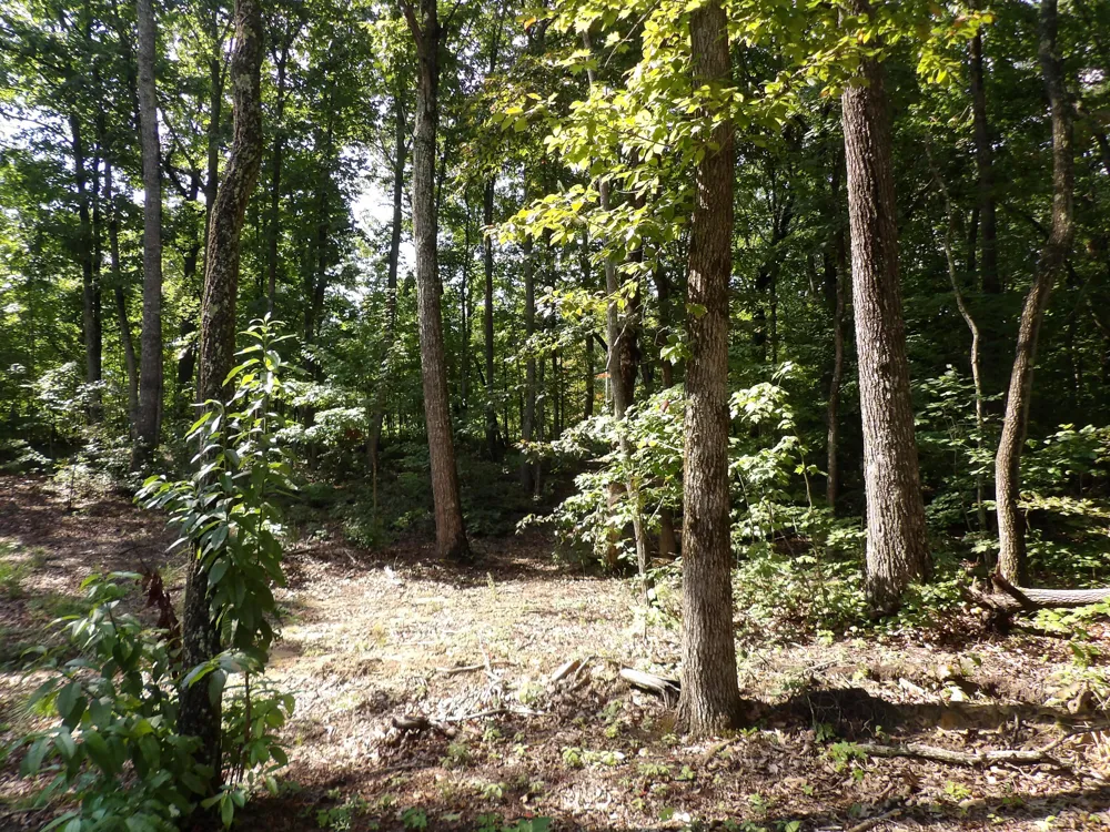87 Apple Road Pikeville, TN 37367