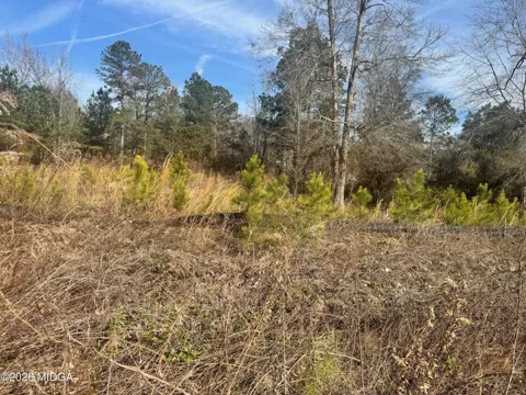 411 Big Oak Circle