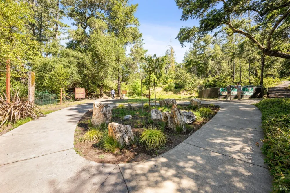 4100 Petrified Forest Road Calistoga, CA 94515