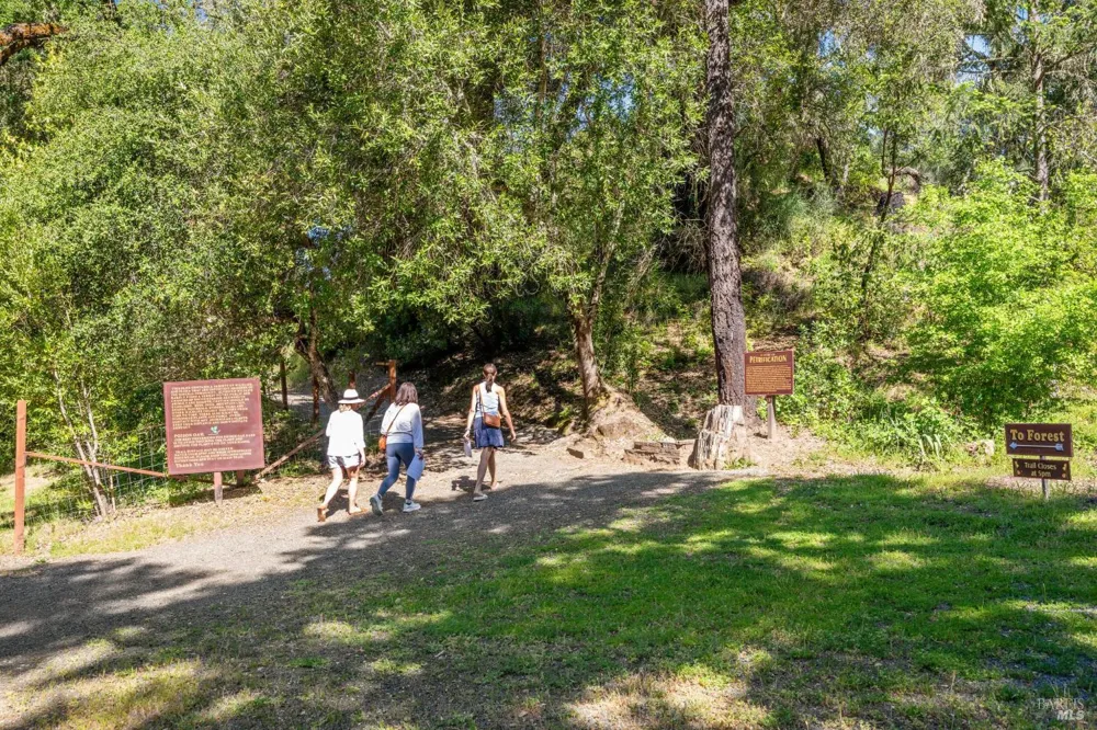 4100 Petrified Forest Road Calistoga, CA 94515