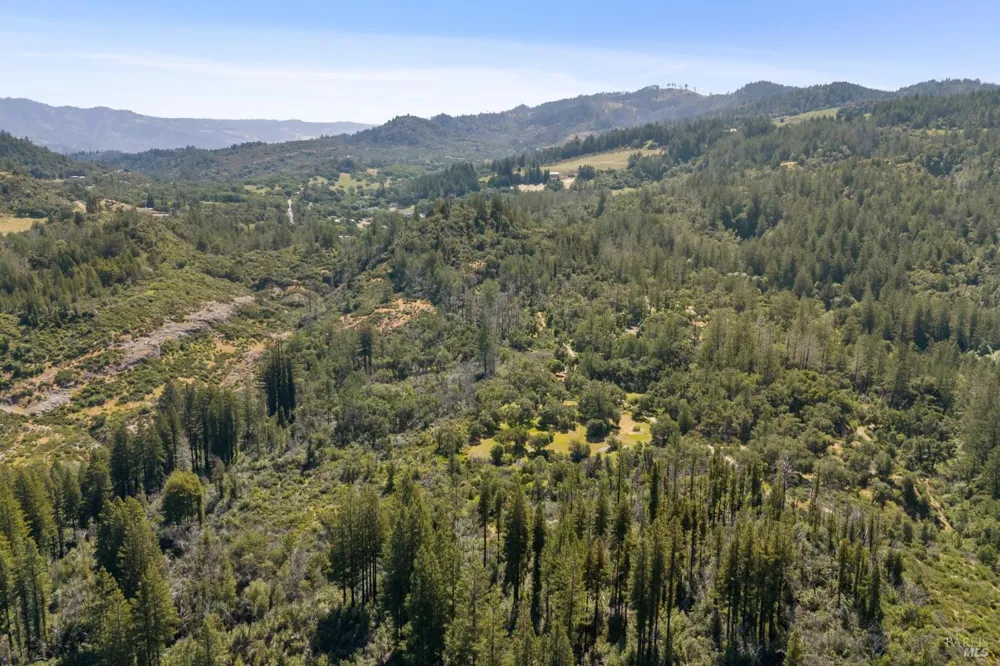 4100 Petrified Forest Road Calistoga, CA 94515