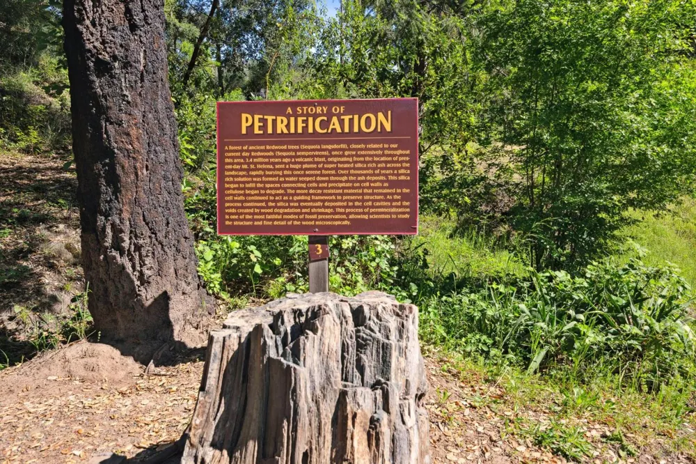 4100 Petrified Forest Road Calistoga, CA 94515