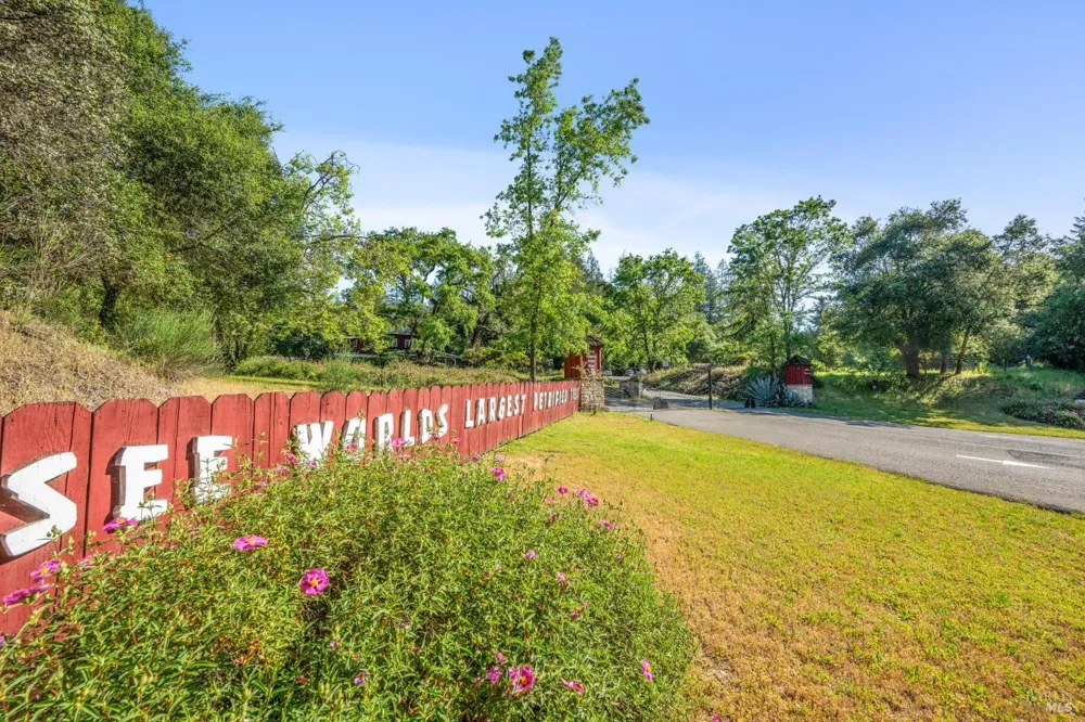 4100 Petrified Forest Road Calistoga, CA 94515