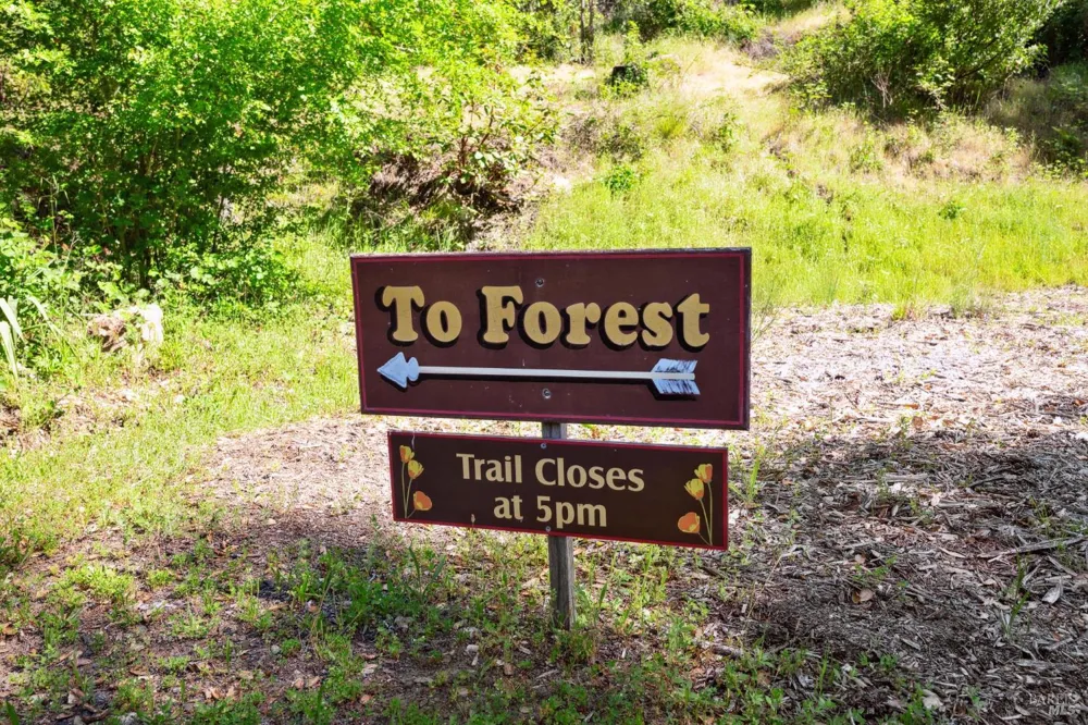 4100 Petrified Forest Road Calistoga, CA 94515