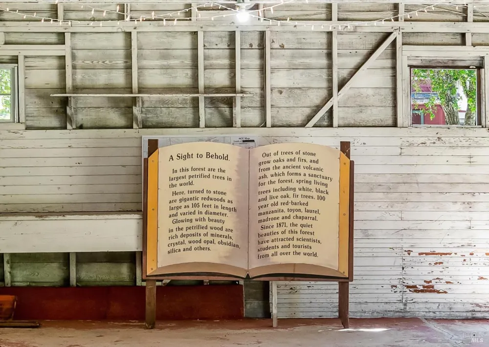 4100 Petrified Forest Road Calistoga, CA 94515
