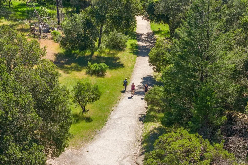 4100 Petrified Forest Road Calistoga, CA 94515