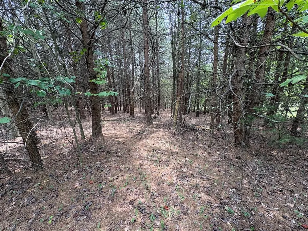 207 Cockerham Road Elkin, NC 28621