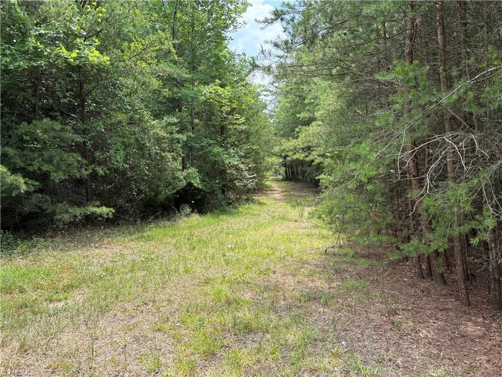 207 Cockerham Road Elkin, NC 28621