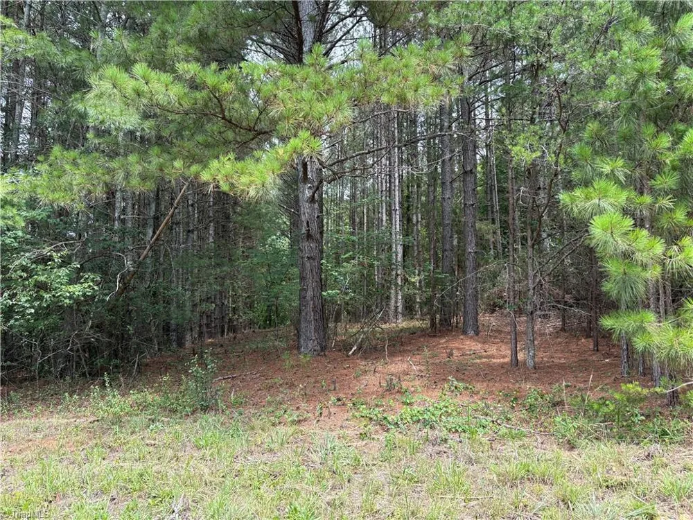 207 Cockerham Road Elkin, NC 28621