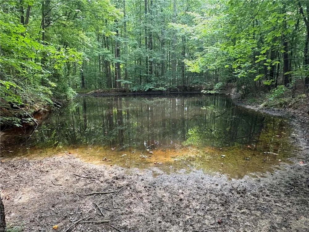 207 Cockerham Road Elkin, NC 28621