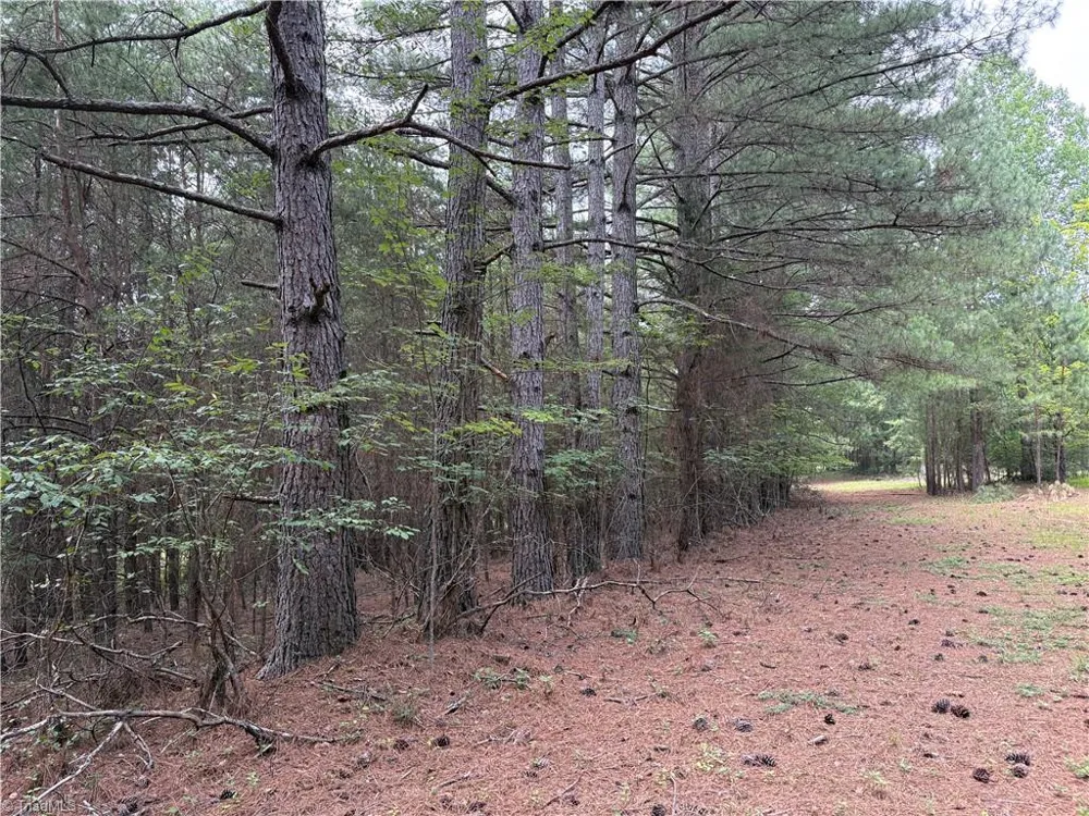 207 Cockerham Road Elkin, NC 28621