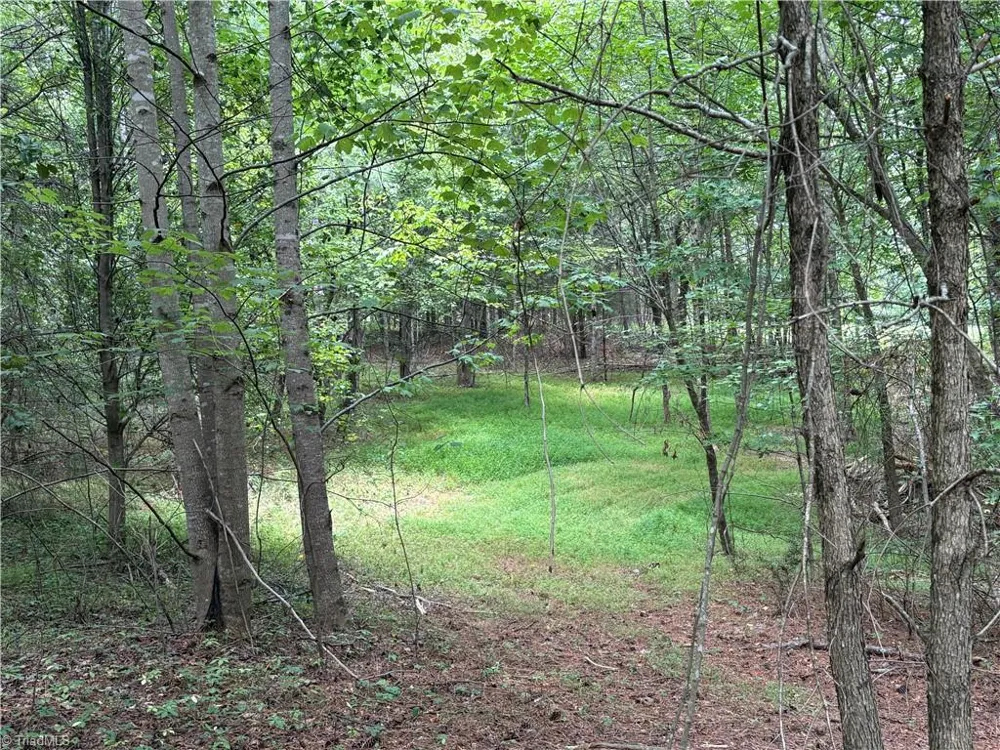 207 Cockerham Road Elkin, NC 28621