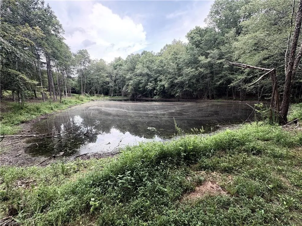 207 Cockerham Road Elkin, NC 28621