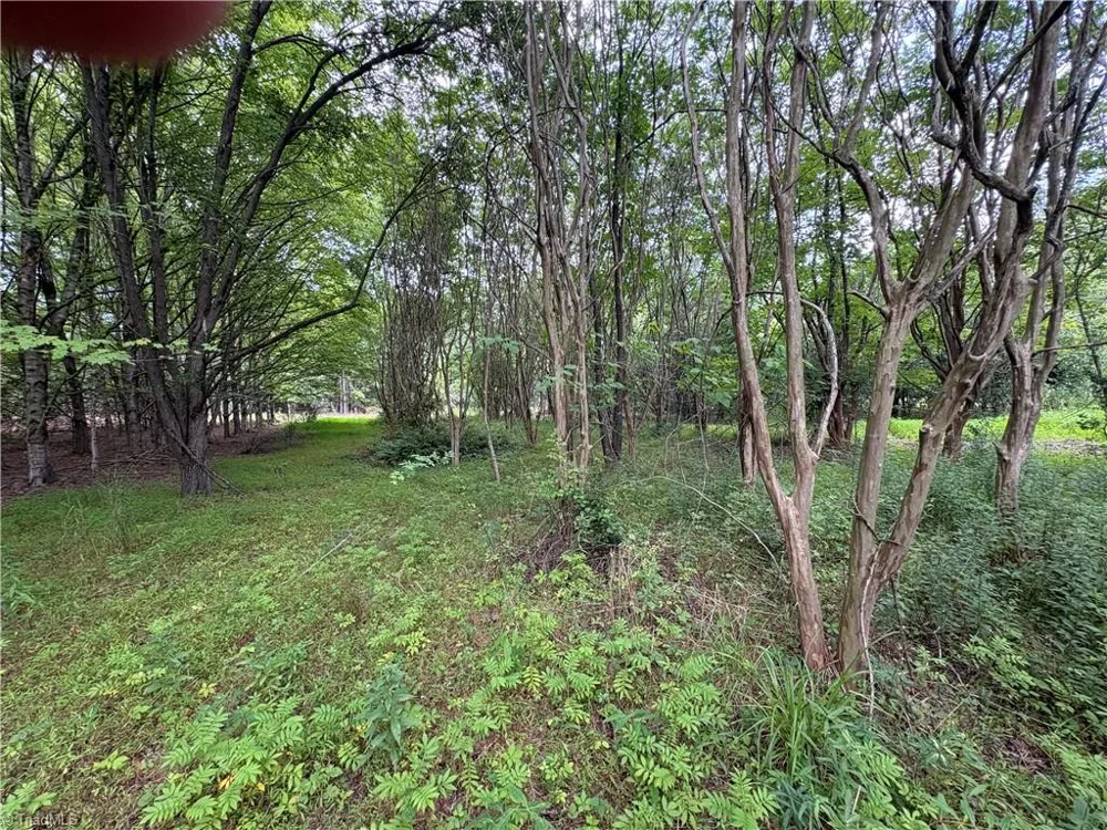 207 Cockerham Road Elkin, NC 28621