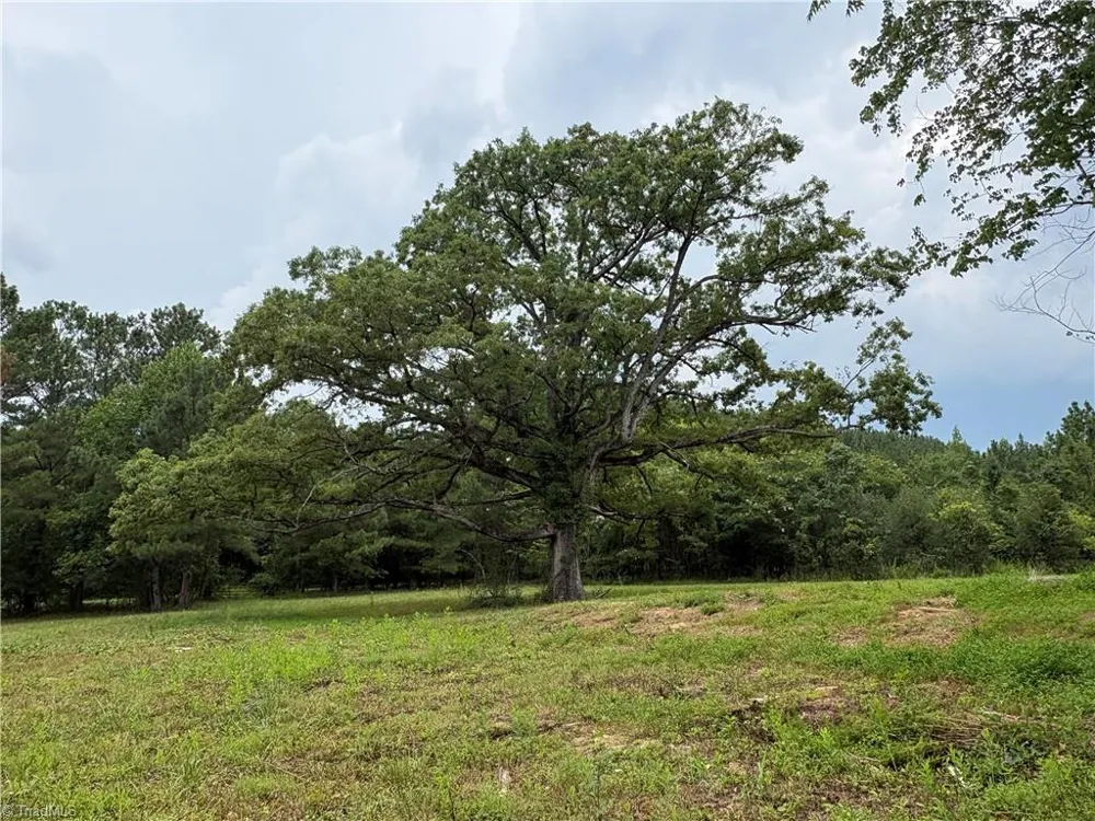 207 Cockerham Road Elkin, NC 28621
