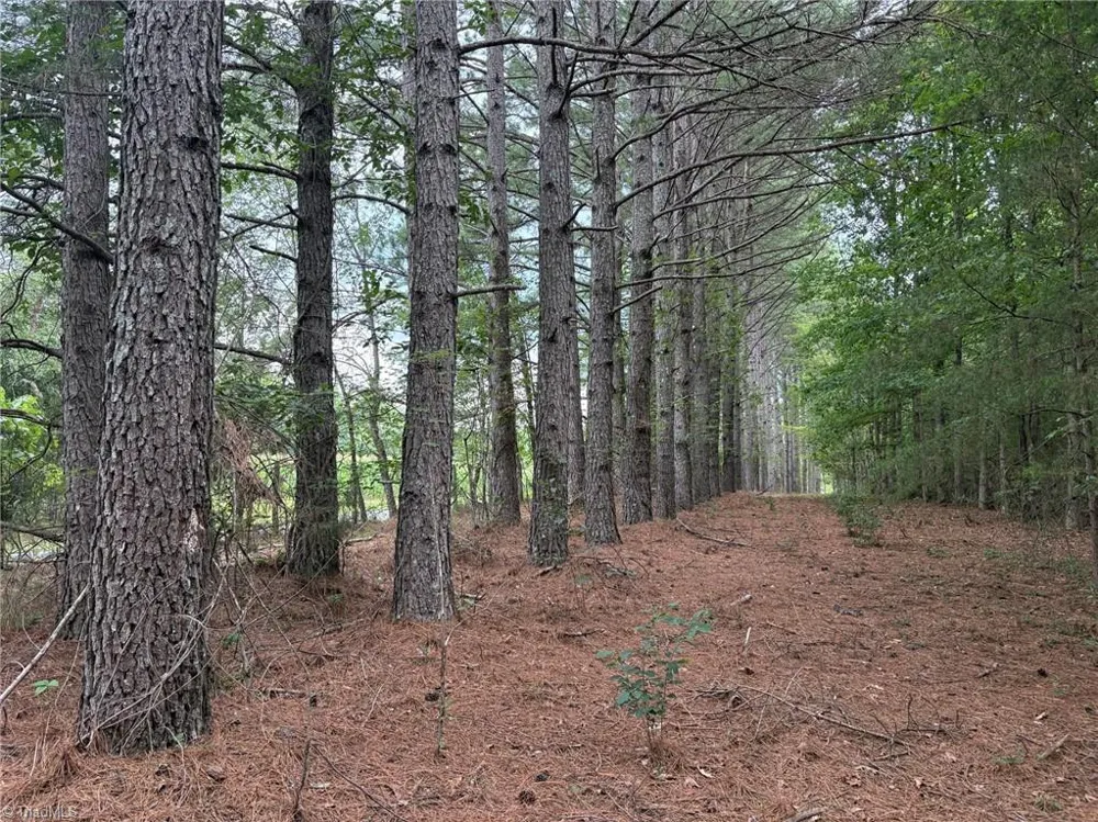 207 Cockerham Road Elkin, NC 28621