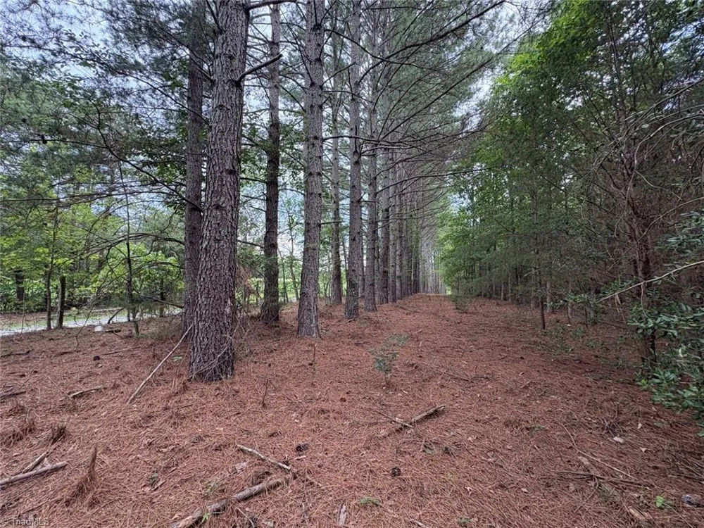 207 Cockerham Road Elkin, NC 28621