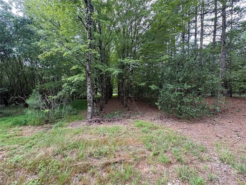 207 Cockerham Road Elkin, NC 28621