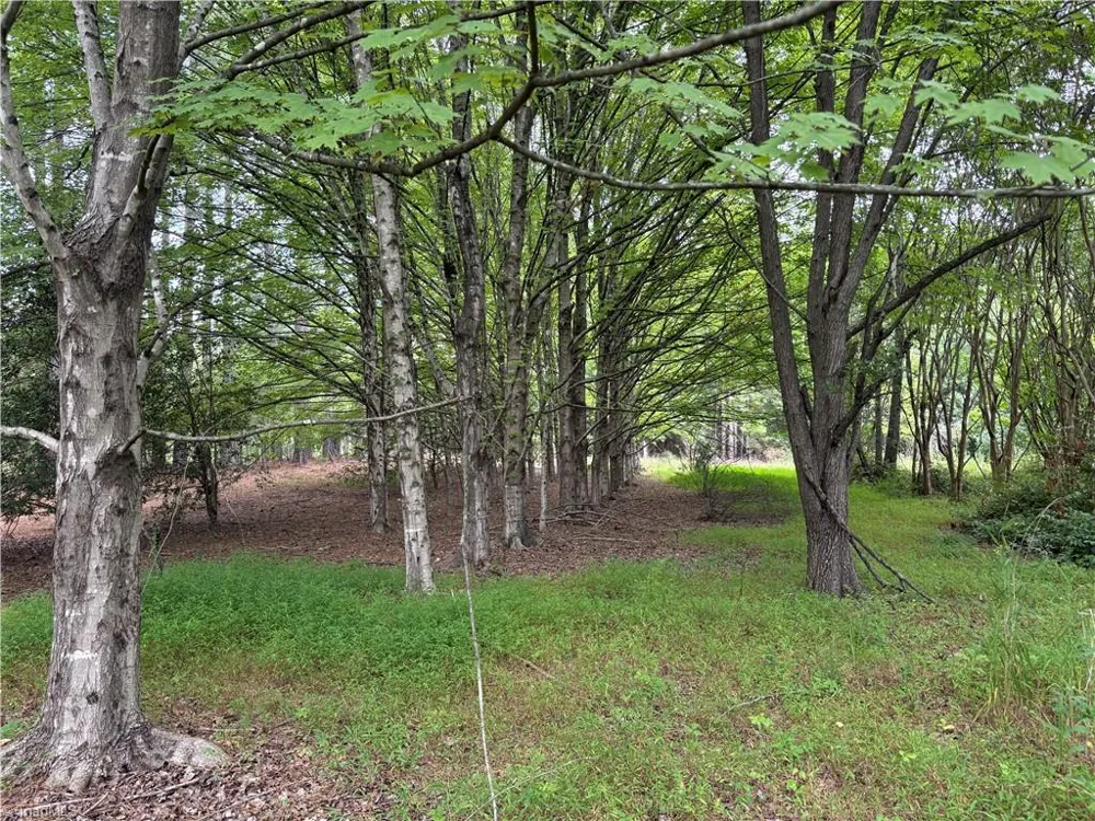 207 Cockerham Road Elkin, NC 28621