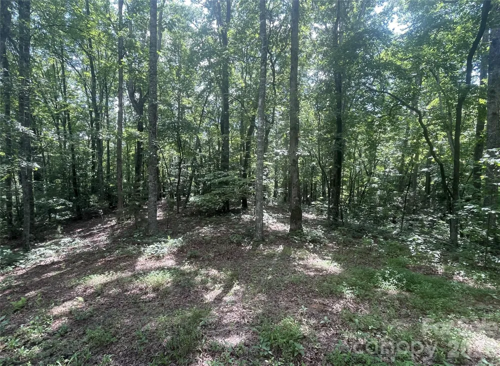 2060 US 19 Highway S Bryson City, NC 28713