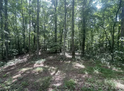2060 US 19 Highway S