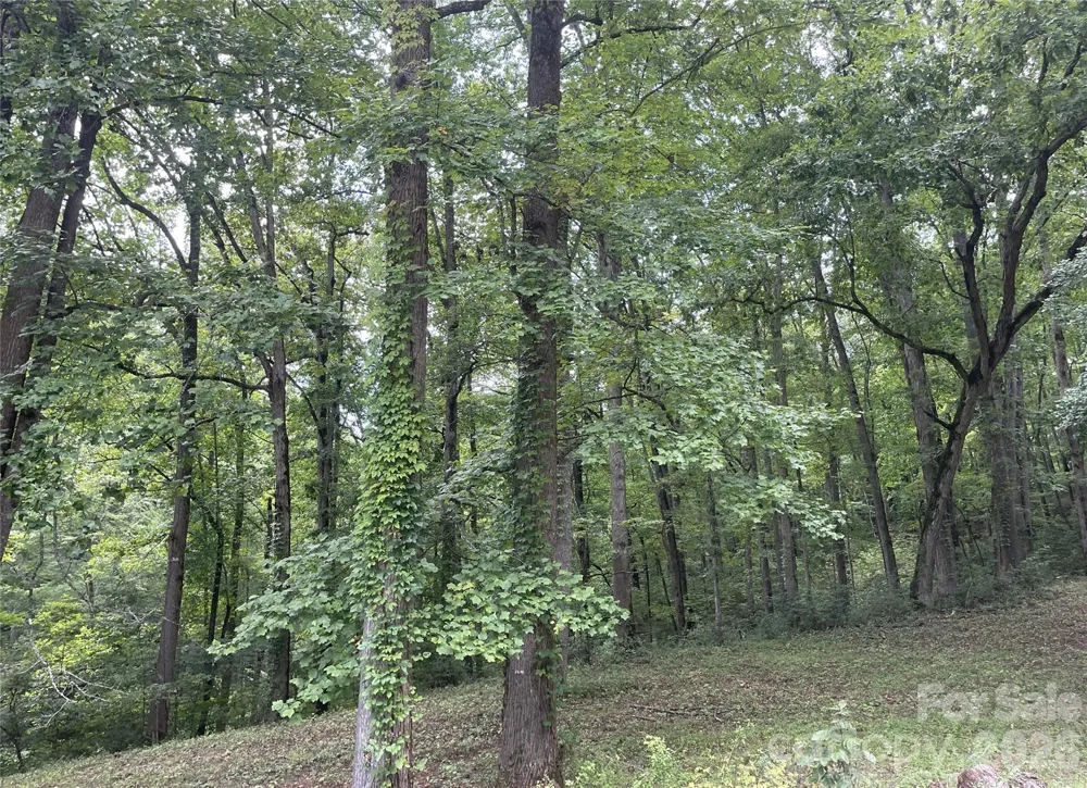 2060 US 19 Highway S Bryson City, NC 28713