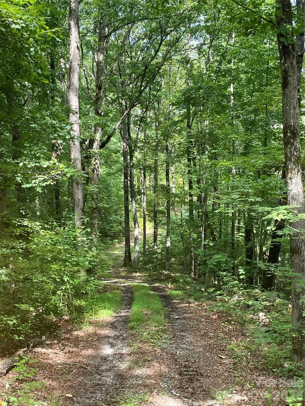 2060 US 19 Highway S Bryson City, NC 28713