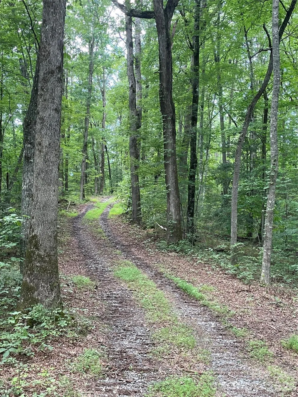 2060 US 19 Highway S Bryson City, NC 28713