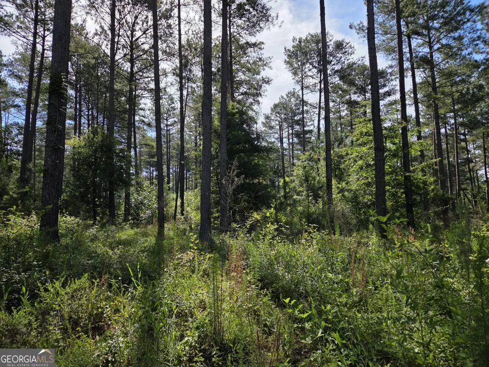 0 PERKINS ROAD Perkins RD Barnesville, GA 30204
