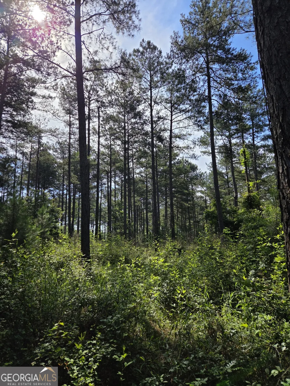 0 PERKINS ROAD Perkins RD Barnesville, GA 30204