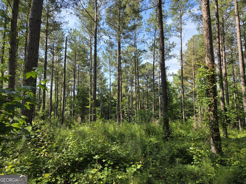 0 PERKINS ROAD Perkins RD Barnesville, GA 30204