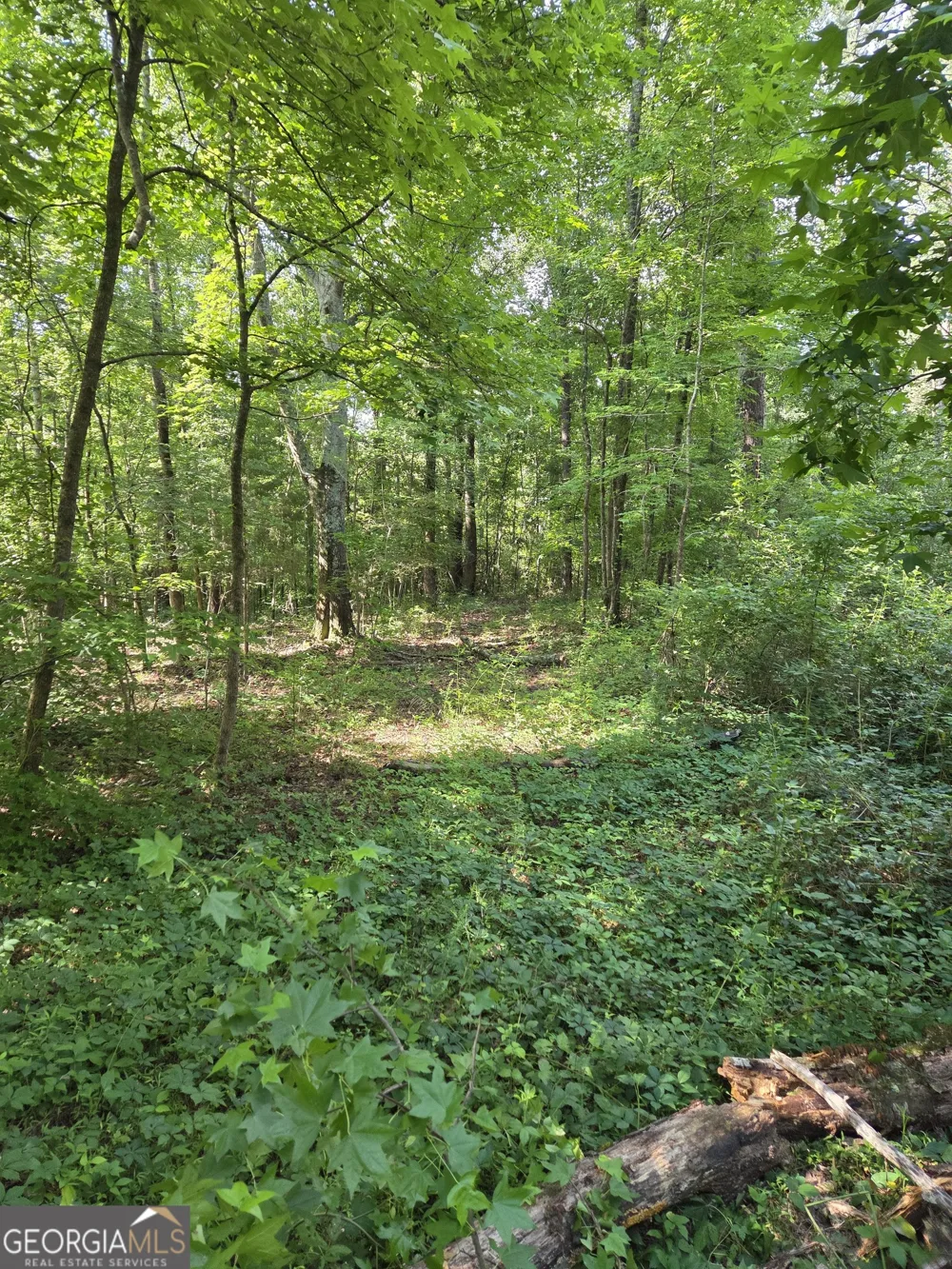0 PERKINS ROAD Perkins RD Barnesville, GA 30204