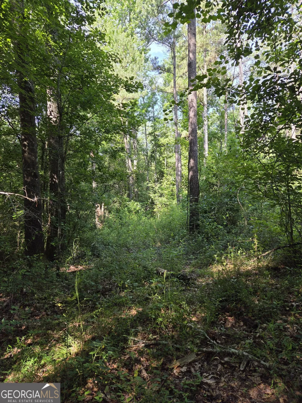 0 PERKINS ROAD Perkins RD Barnesville, GA 30204