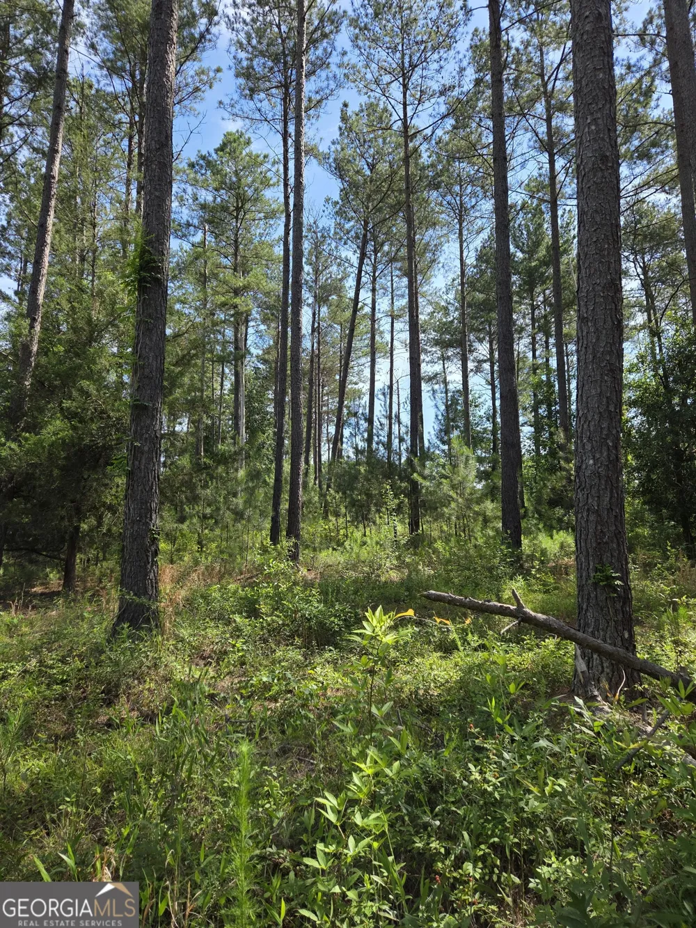 0 PERKINS ROAD Perkins RD Barnesville, GA 30204