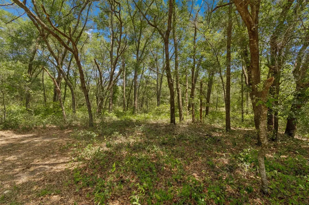 3757 E SIDE COURT Inverness, FL 34453