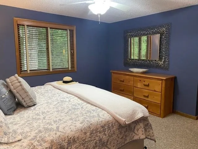6865 Pinebrook Drive Custer Township, MI 49615