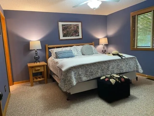 6865 Pinebrook Drive Custer Township, MI 49615