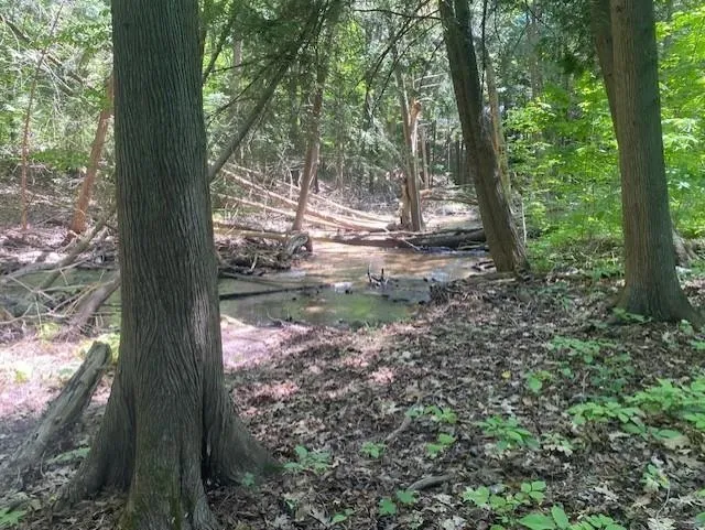 6865 Pinebrook Drive Custer Township, MI 49615