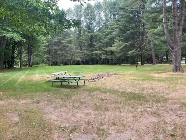 6865 Pinebrook Drive Custer Township, MI 49615
