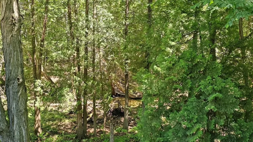 6865 Pinebrook Drive Custer Township, MI 49615