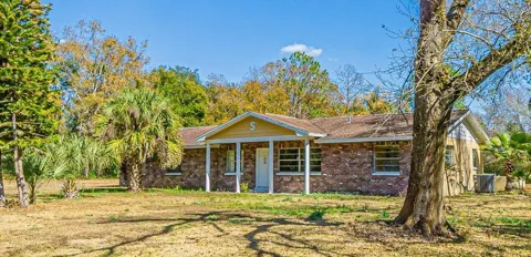 3902 AUTUMN PALM DRIVE