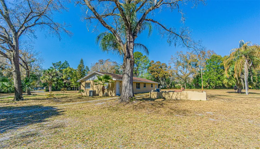 3902 AUTUMN PALM DRIVE Zephyrhills, FL 33541