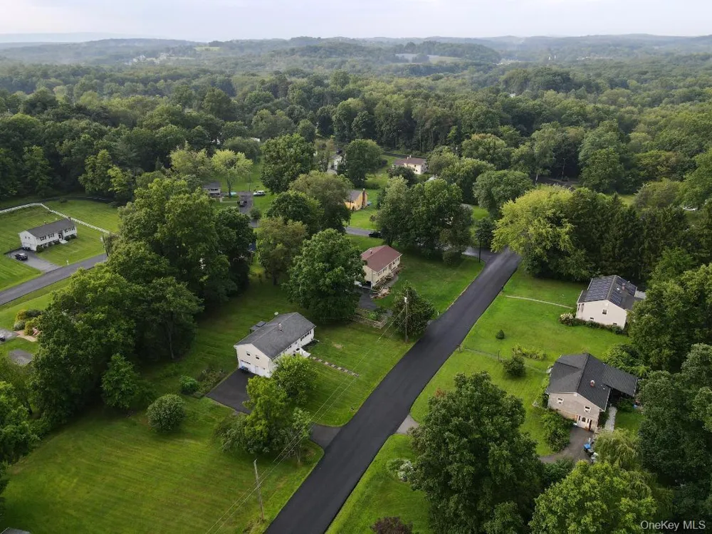 20 Meadow Avenue Washingtonville, NY 10992