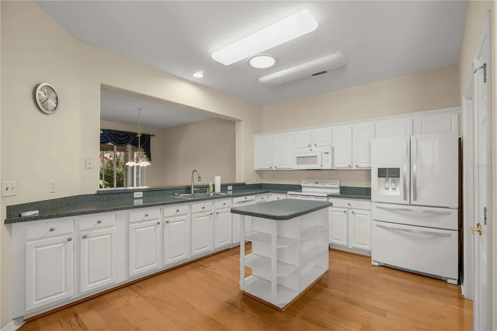 9317 124TH PLACE Summerfield, FL 34491