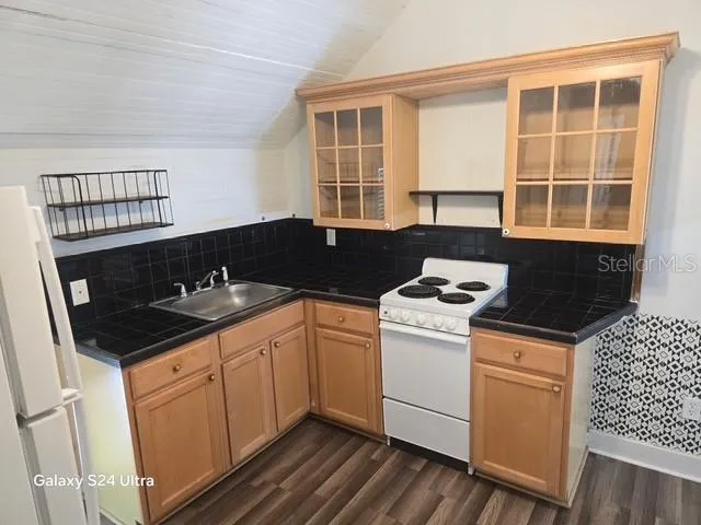 7306 EARLWOOD AVENUE #5 Mount Dora, FL 32757