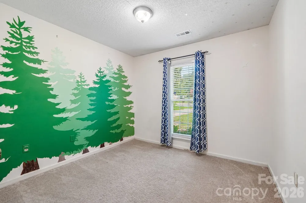 13942 Dannemara Drive Pineville, NC 28134
