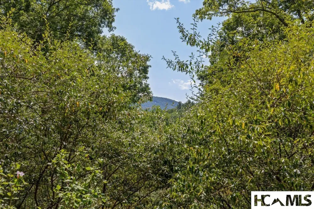 162 Twin Lakes Drive Highlands, NC 28741