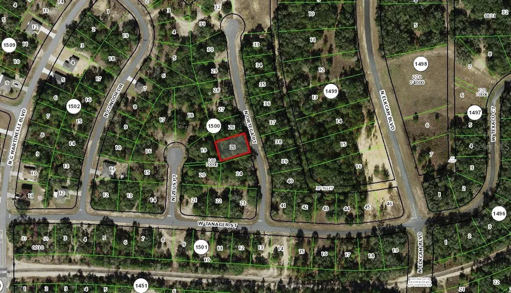 11352 ORTEGA POINT Citrus Springs, FL 34433